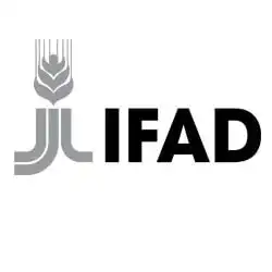 logo ifad